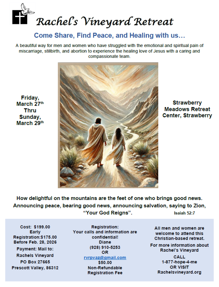 Rachels Vineyard Life Connections